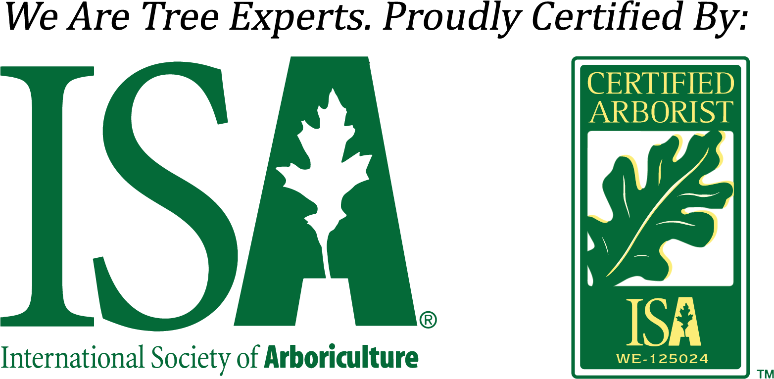 isa tree experts